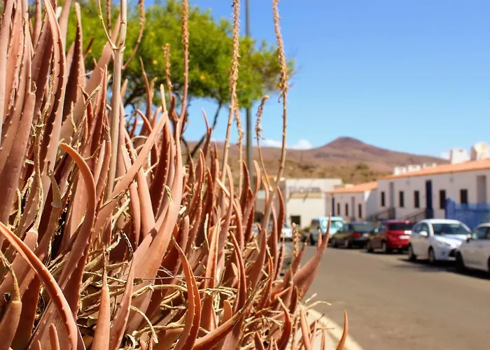Hotel Bougainvillea Bamira Maspalomas (Gran Canaria)